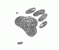 Osian's Paw